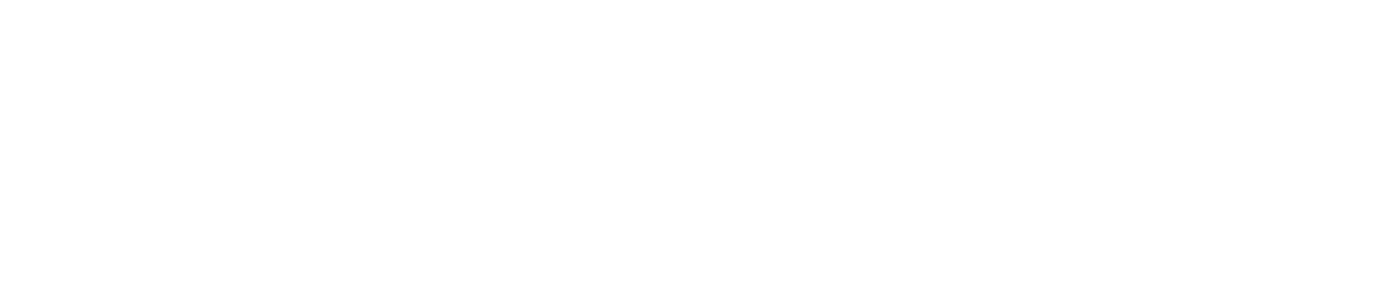 netrauta-white